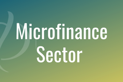 Microfinance Sector