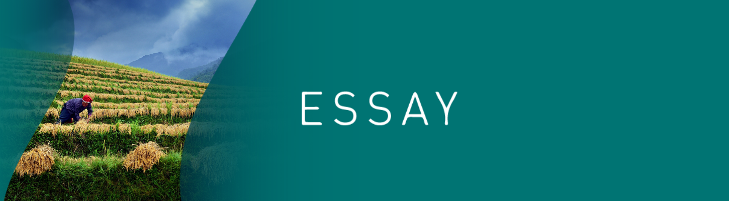 Photo by Hoang Long Ly, CGAP Photo Contest