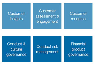 Customer insights, customer assessment and engagement, customer recourse, conduct and culture governance, conduct risk management, financial product governance