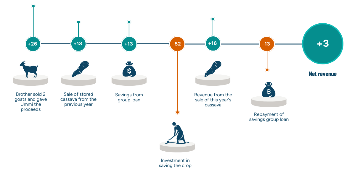 Ummi's cash flow and net earnings
