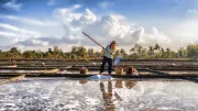 Men work in a salt flat