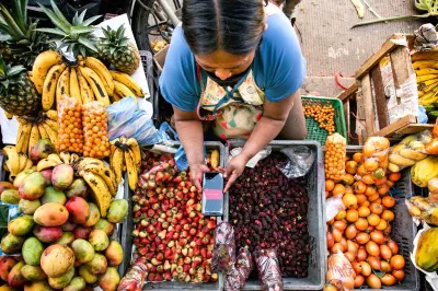 produce seller at a market looking at a mobile phone