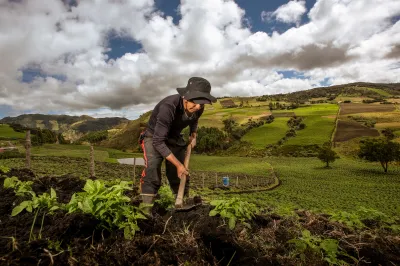 A woman works in a field
