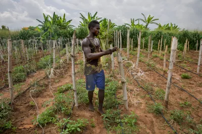 a farmer who plants a variety of vegetables such as tomatoes and onions