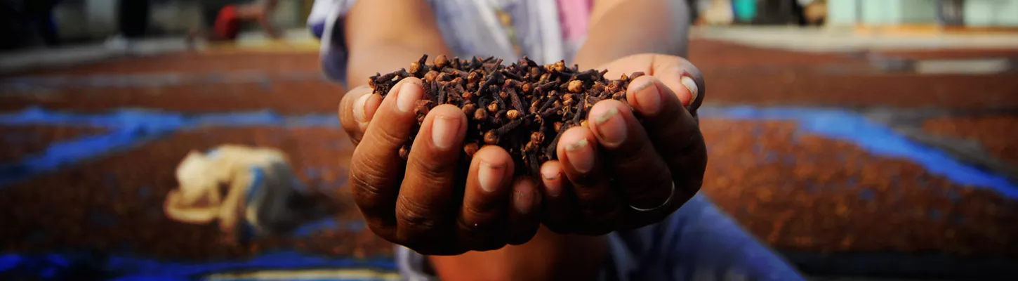 Cloves, Indonesia. Photo by Herwin Gunadi, 2016 CGAP Photo Contest