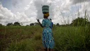 A woman walks in a field with a basket on her head