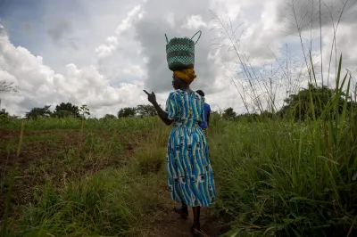 A woman walks in a field with a basket on her head