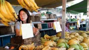 A banana vendor at a Brazil market
