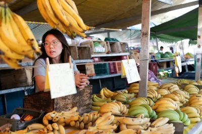 A banana vendor at a Brazil market