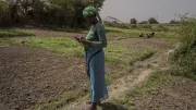 A woman looks at her phone in a field