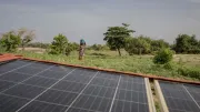 A woman harvests turnips at a farm that uses solar powered irrigation in Kayar, Senegal.
