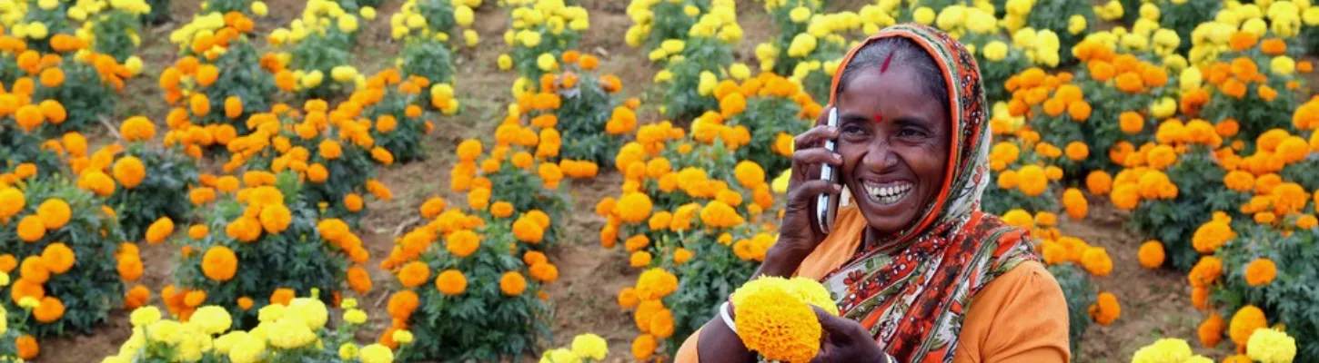 a woman in Indian dress on the phone in a field of yellow and orange flowers