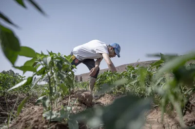 A man works in a field