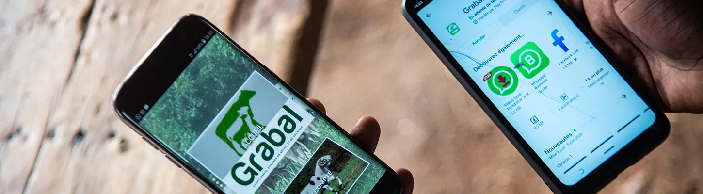 A view of two smartphones at the cattle and livestock market in the Lafiabougou district of Bamako, Mali. CGAP Photo (Nicolas Réméné via Communication for Development Ltd.)