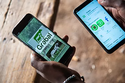 A view of two smartphones at the cattle and livestock market in the Lafiabougou district of Bamako, Mali. CGAP Photo (Nicolas Réméné via Communication for Development Ltd.)