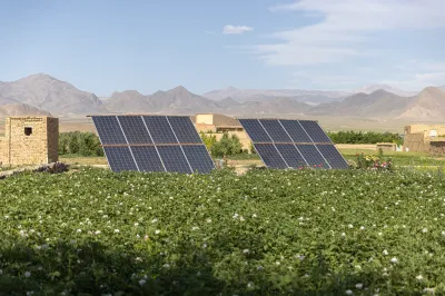 Solar panels sit in a field